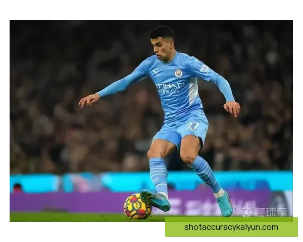 坎塞洛身价波动趋势分析，市场反应逐渐稳定